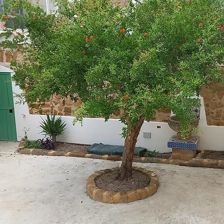 Assammichele شقة *