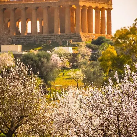 Assammichele Apartment *