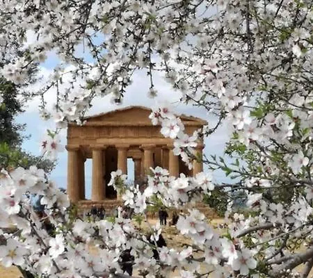 Apartment Assammichele