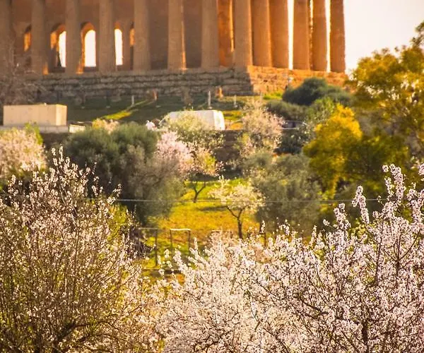 Assammichele アパート *