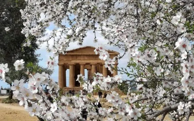 アパート Assammichele